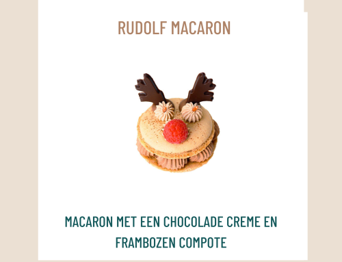 Taartje van de maand december 2024: Rudolf Macaron